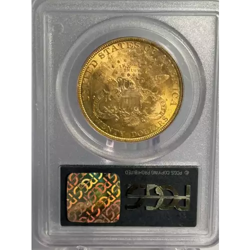 1895 $20 (2)