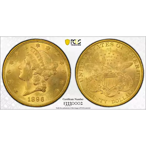 1896 $20 (2)
