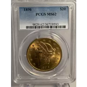 1896 $20 (2)