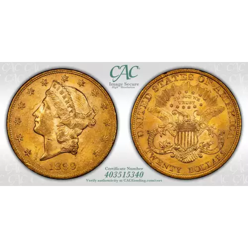 1899 $20 (4)